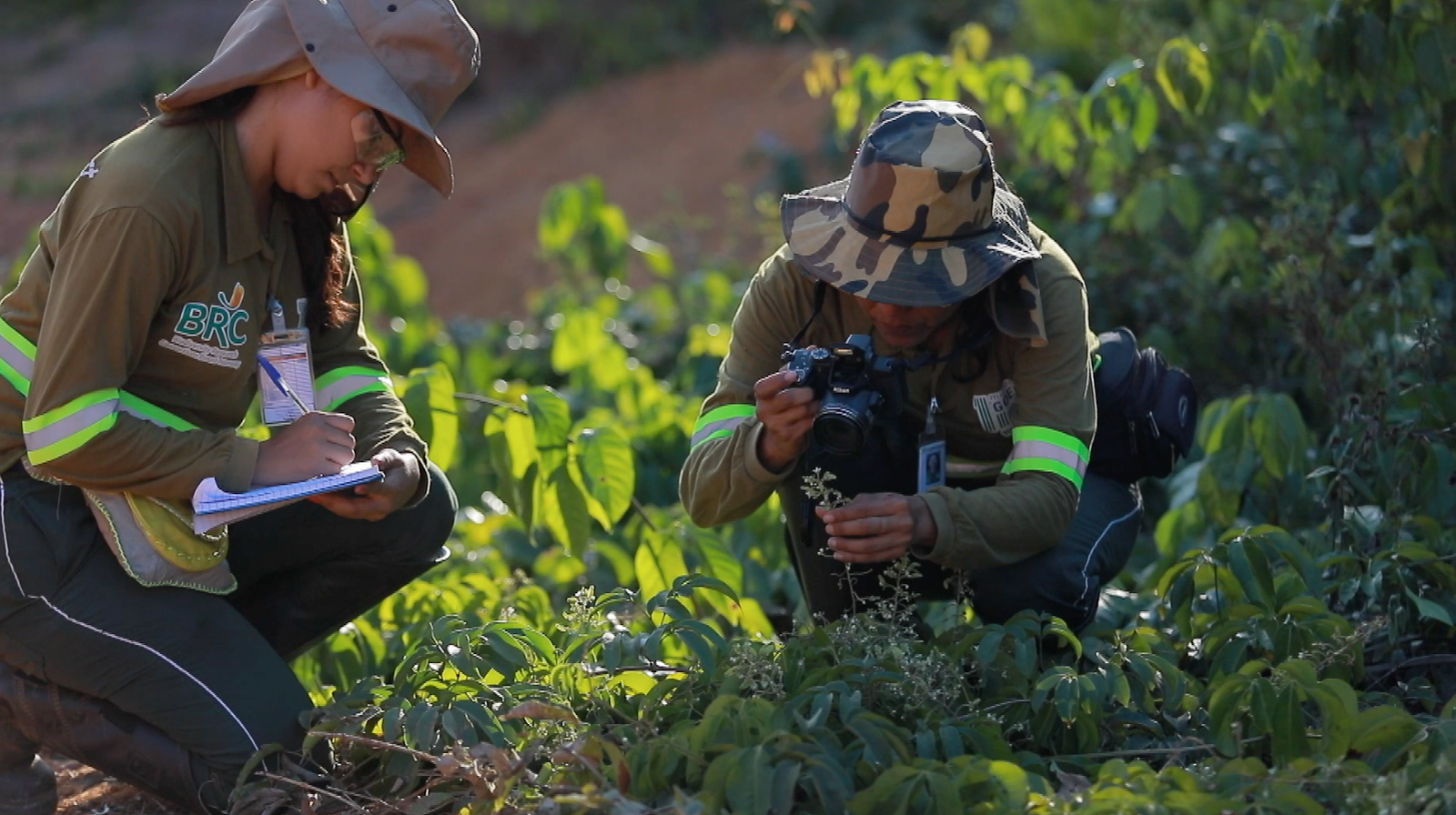 Fundo Hydro passa a gerenciar a  secretaria executiva do Consórcio BRC