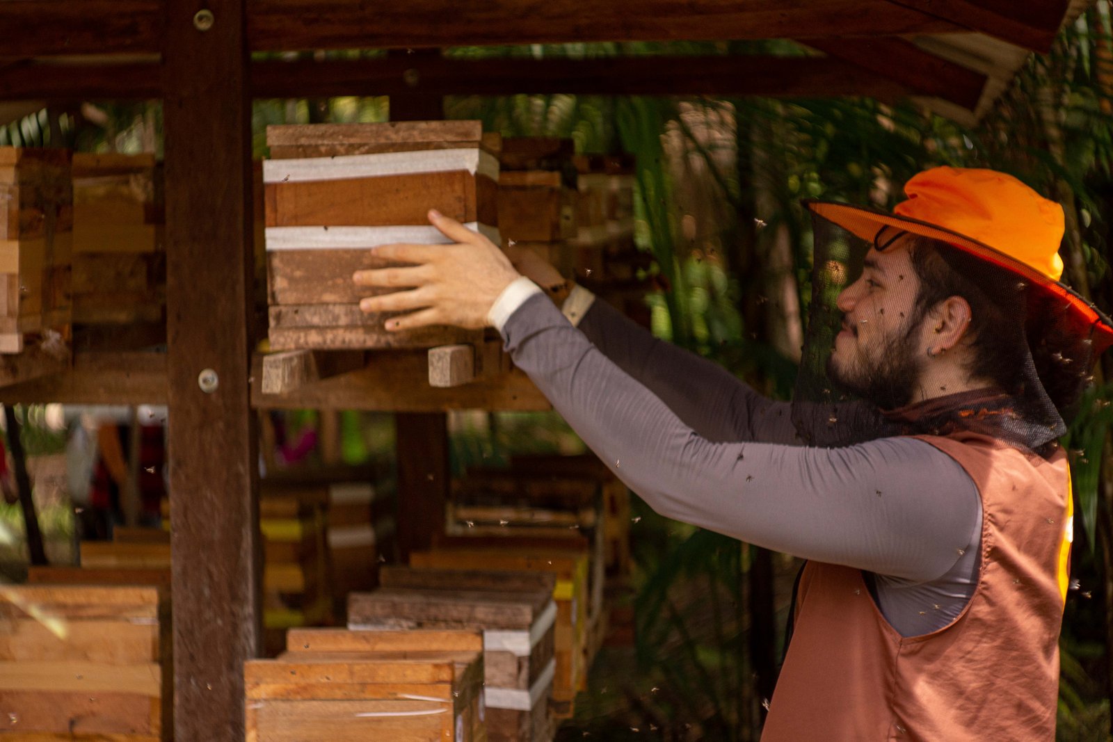 Projeto incentiva a criação de colmeias e mudas em Barcarena
