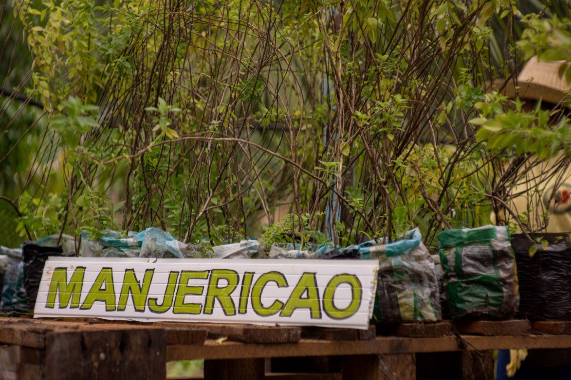 imagem galeria