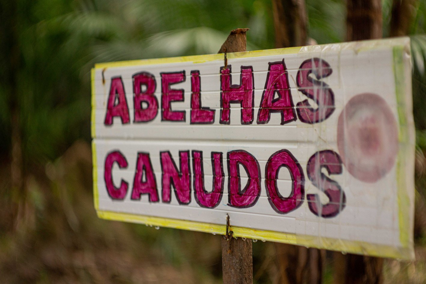 imagem galeria